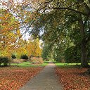 Autumn in the Kew Gardens, Richmond, UK   UK &amp; Ireland