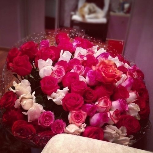 ������� | ���� 2016 | ������ | �������� | ������ - 4 ������ 2015 � 22:35 - 2