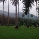 ��� ������������ �� ����� �������� ���������, ������ �� ����� � ������ ��� �������? 
����� �����: http://dengidomoy.ru/cent/ �� ������� ����