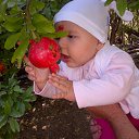 ���� Hasil, �����, 25 ��� - ��������� 10 ������� 2015 � ������ ���� ����������