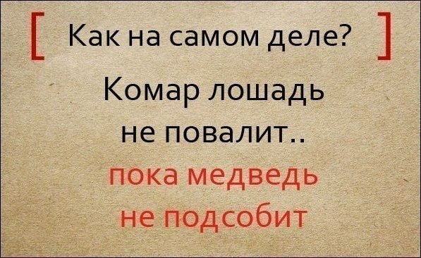 �������� ����������� ���������� ���������. - 8