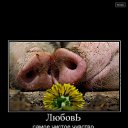 ���� �������, ������, 55 ��� - ��������� 8 ������ 2015 � ������ ������ ��������
