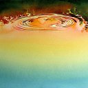  ,  -  4  2015           (Carol Carter)