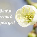 ���� ������, ������� - ��������� 2 ����� 2015 � ������ �������� ��������
