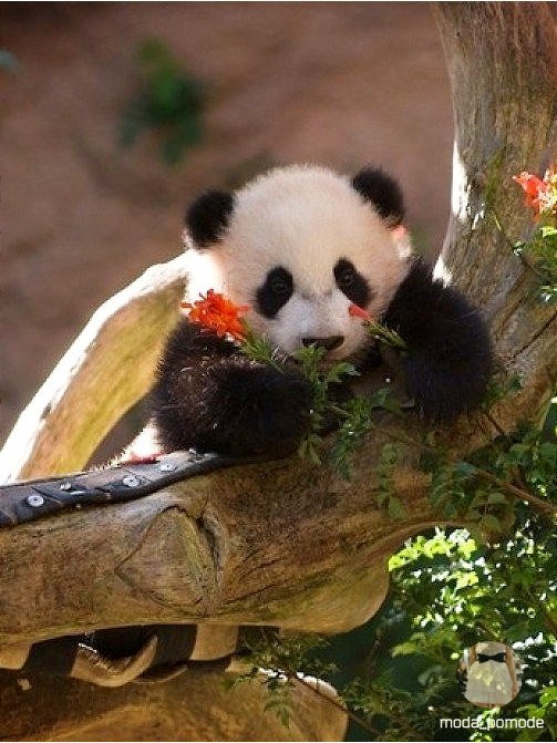    - 8  2015  01:33 - 3