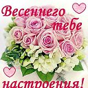 ���� �������, �����-��������� - ��������� 26 ����� 2015 � ������ �������� ��������