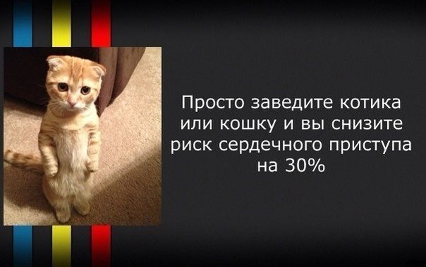           . - 3