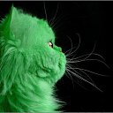  Bagira,  ( /) -  25  2015    