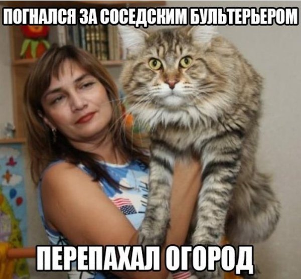 �� ����� ���������. - 3