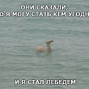 ���� ��������� (Surf Rider), ����������� - ��������� 6 ������ 2015 � ������ ���������