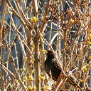 11 ������ 2015 �� ������� ������� ��������)))�