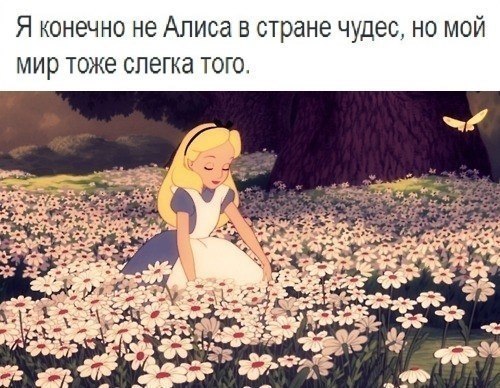    - 13  2015  16:32