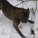 ���� ��������, ������, 51 ��� - ��������� 26 ������� 2014 � ������ ���� ����������