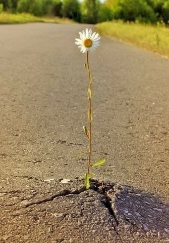 Сильный человек — это не тот, у которого все хорошо. Это тот, у которого все хорошо, несмотря ни на ...