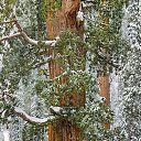  , -, 59  -  27  2015    