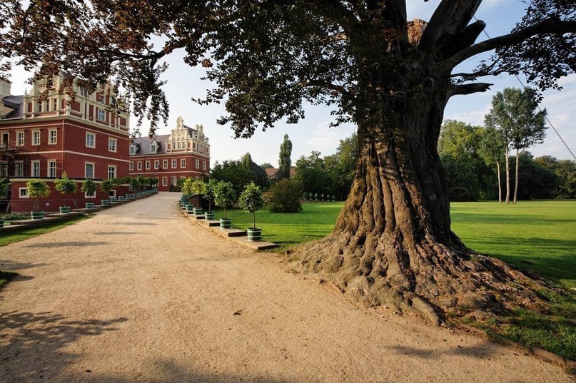 Muskauer Park -           .  ...