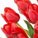 ���� �����, �����, 58 ��� - ��������� 4 ������� 2015 � ������ ������..������ ���������!�