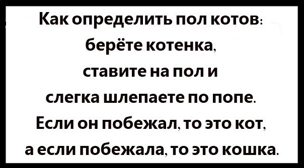 .  .