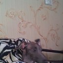 ���� ������, �����-���������, 50 ��� - ��������� 12 ����� 2015 � ������ ���� ����������