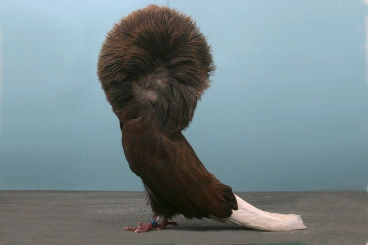 ������������ ������ �������.�������� ����� ������� � ������ ������ ���� ��-�������, � ����������� �� ... - 10