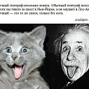 ���� ����, �����������, 45 ��� - ��������� 6 ������ 2015 � ������ ������ ��������
