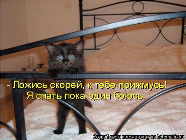 ВСЕМ ДРУЗЬЯМ !!! Спокойной ночи, сладких снов Тебе от всей души желаю. Тебя во сне хранит любовь, ...