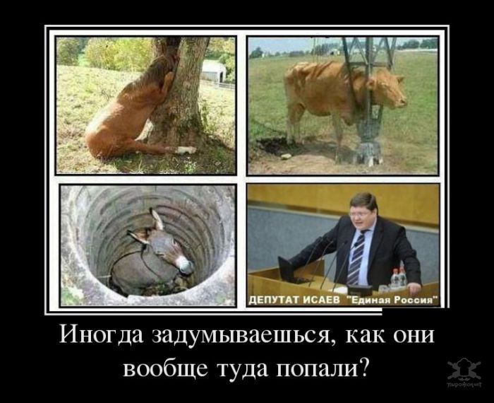   ,  : <a href=