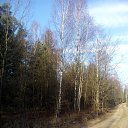 14/12/14 �� ������� ���������