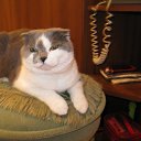 ���� ������. �� �����., ���� - ��������� 26 ������� 2015 � ������ ������ ��������