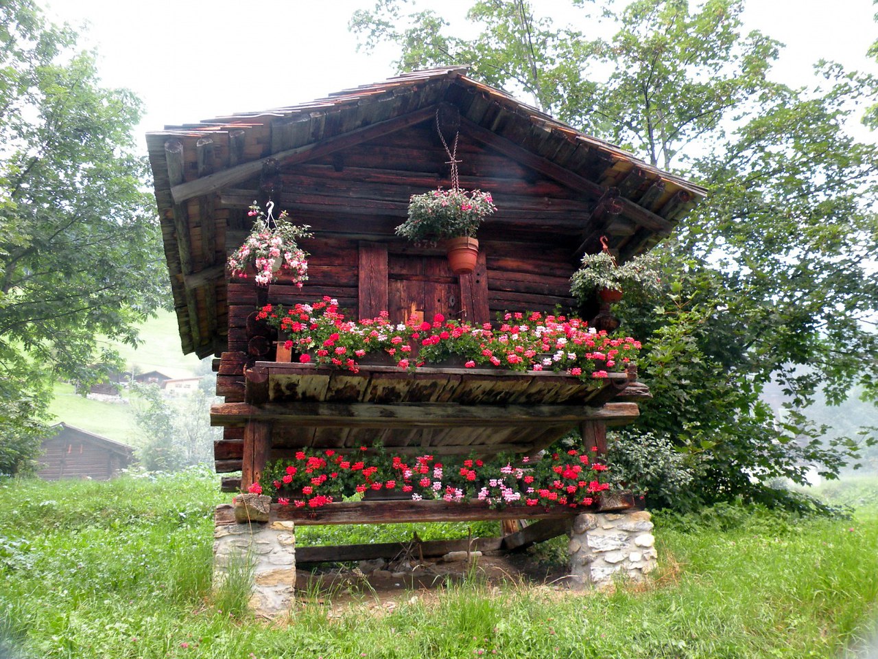  Gimmelwald