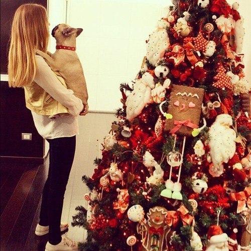 До Нового Года осталось 4 дня) - 6