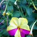 ���� ������ �������, �������, 67 ��� - ��������� 8 ������ 2015 � ������ �������