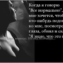 ���� �����, ���������, 41 ��� - ��������� 3 ������� 2015 � ������ ������ ��������