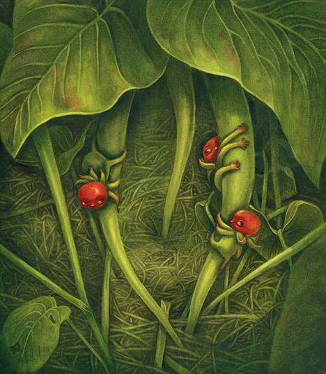 Benjamin Lacombe
