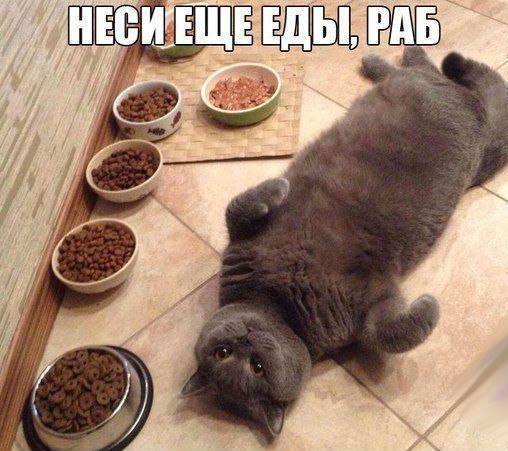    :-) - 30  2015  11:02