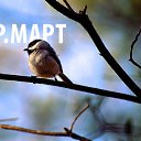 ���� �����, ������, 45 ��� - ��������� 25 ����� 2015 � ������ �������