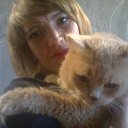  ,  , 51  -  21  2014    