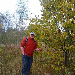 ���� ������, �����-���������, 63 ���� - ��������� 13 ����� 2015