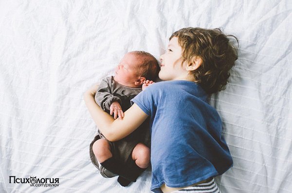 5 лучших историй с моралью.1. Однажды мышь заметила, что хозяин фермы поставил мышеловку. Она ...