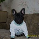 ���� ��������, ������� - ��������� 26 ����� 2015 � ������ ���� ��������