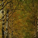 ���� ������, ��������� - ��������� 25 ������� 2015 � ������ ���� ���� ������