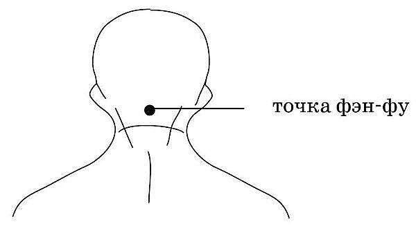 Точка Фэн-Фу и омоложение организма. Невероятно - но факт! Методика заключается в следующем: ...
