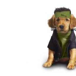 ���� Cyp��, ������, 41 ��� - ��������� 19 ������� 2014