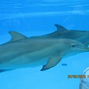 ���� ����, ������, 40 ��� - ��������� 9 ������ 2015 � ������ ���� ����������