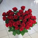 ���� �������, ��� - ��������� 13 ������� 2014 � ������ ���� ���� ������