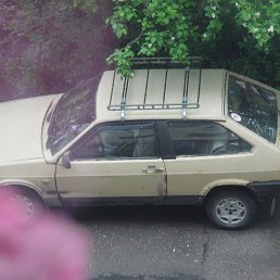 �������, �����-���������, 52 ����