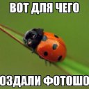 ���� �������, ������, 57 ��� - ��������� 3 ������ 2015 � ������ ������ ��������
