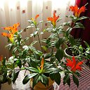 ���� ��������, ��������, 73 ���� - ��������� 26 ������� 2015 � ������ ��������-��������