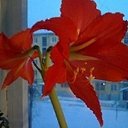 ���� Nikolay, �������, 77 ��� - ��������� 6 ����� 2015 � ������ ���� ����������