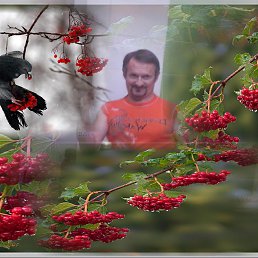 ���, �����������, 67 ���